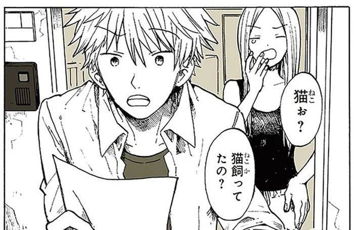 飼っていた子猫が行方不明。ご近所さんに猫を見ていないか尋ねてもらった「怪しい粉」