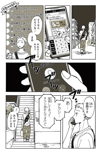 ネコ探しています！