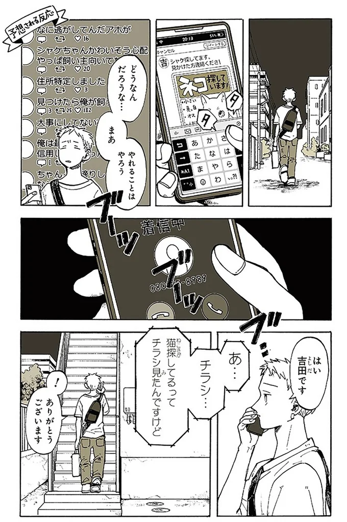 ネコ探しています!