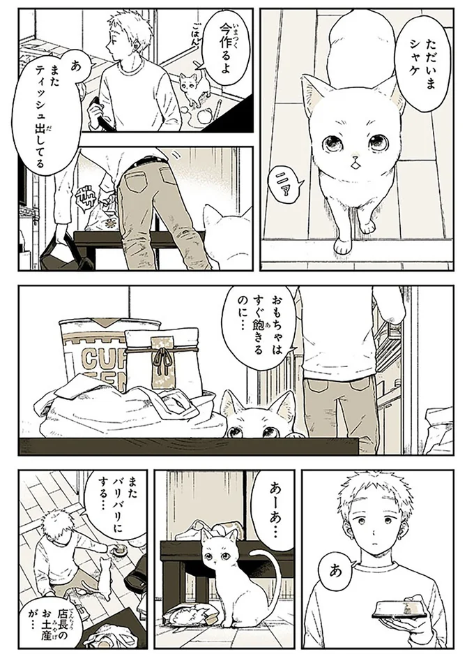 ただいまシャケ