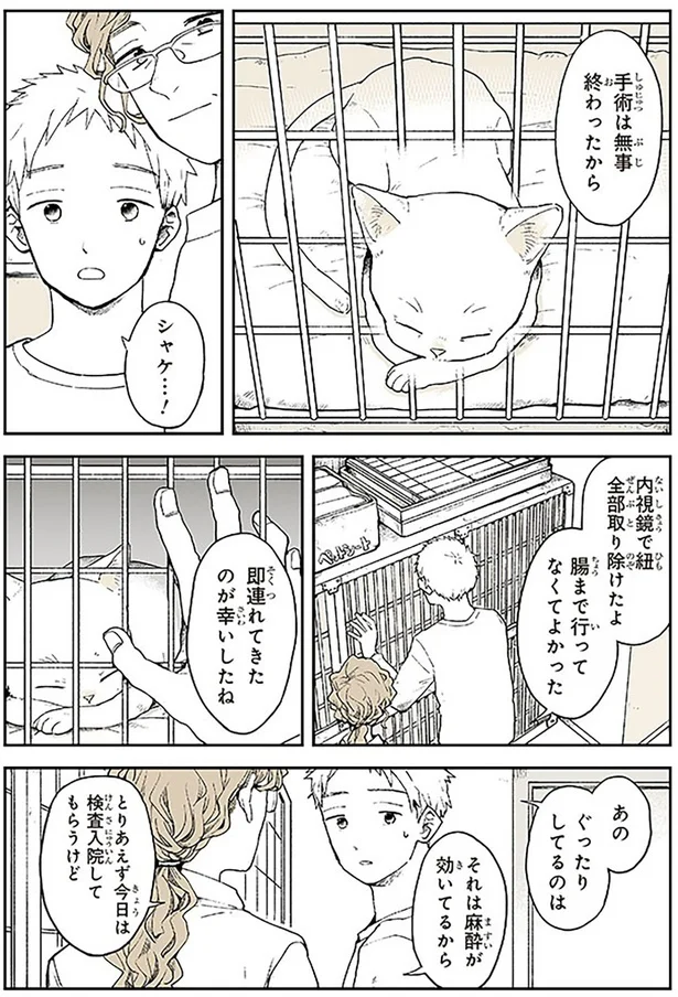 手術は無事終わったから
