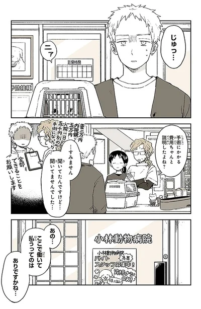 手術にかかる費用ちゃんと説明したよね？