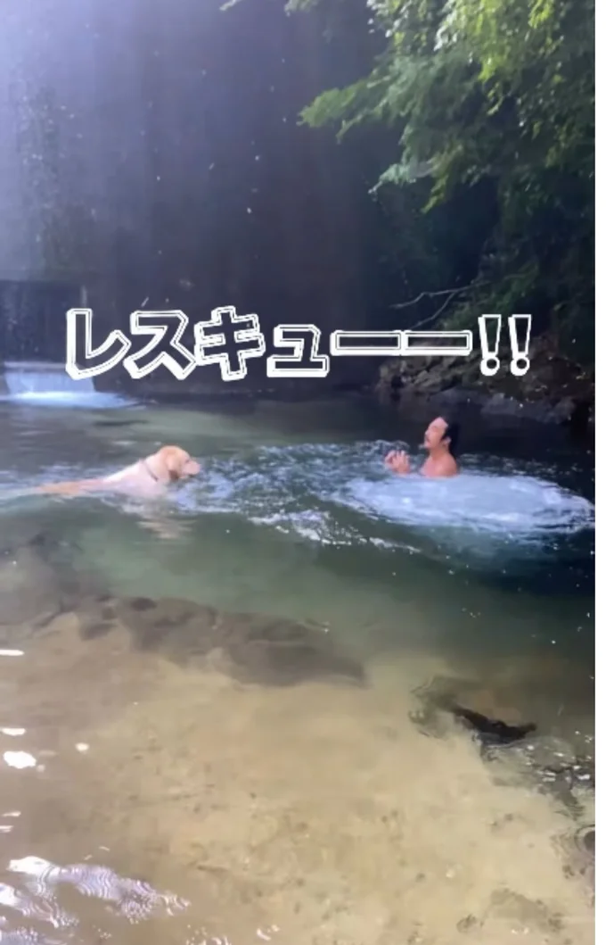 飛び込んだ飼い主さんをレスキュー!▶またもや秒速で救いにいく!(⇒次へ)