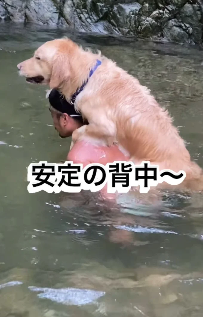 重たい・・・という心の声が聞こえてきそう▶目がとろんとろん(⇒次へ)