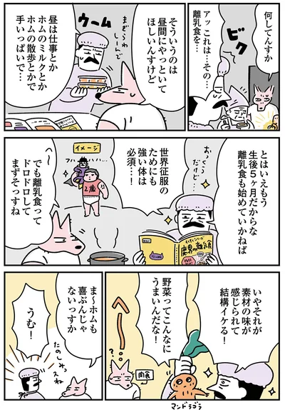 野菜ってこんなにうまいんだな！