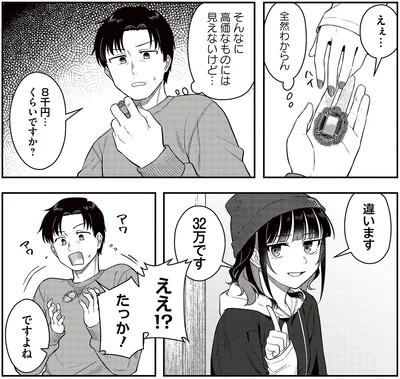 そんなに高価なものには見えないけど…