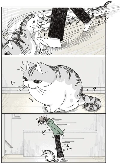 『夜は猫といっしょ8』より