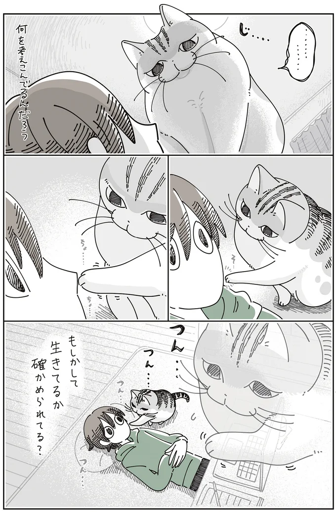 『夜は猫といっしょ8』より