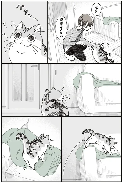 『夜は猫といっしょ8』より