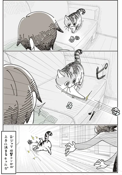 『夜は猫といっしょ8』より