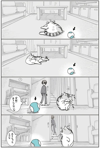 『夜は猫といっしょ8』より