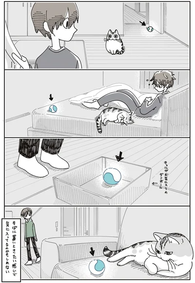 『夜は猫といっしょ8』より