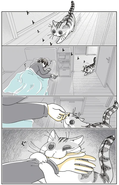 『夜は猫といっしょ8』より