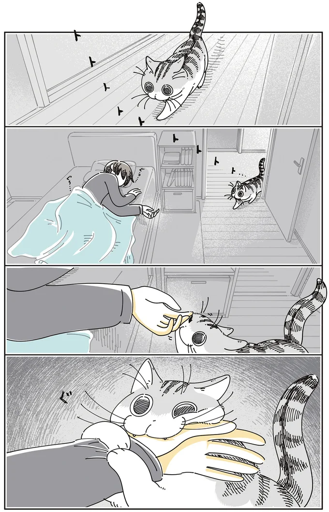 『夜は猫といっしょ8』より