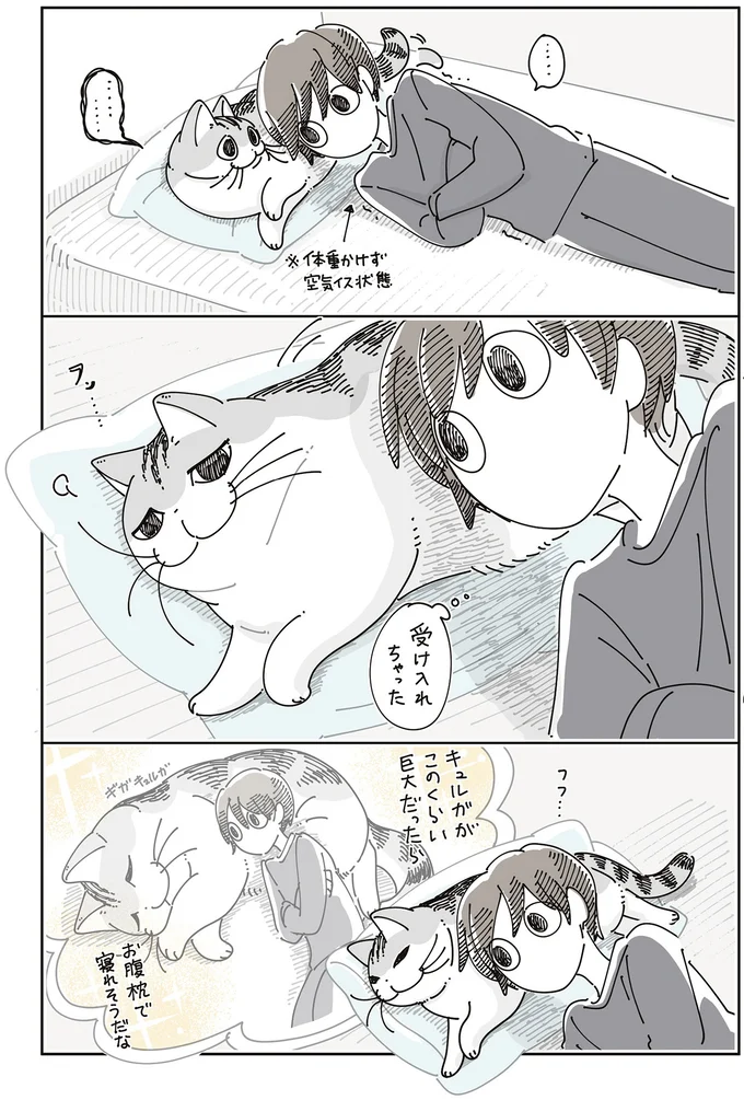 『夜は猫といっしょ8』より