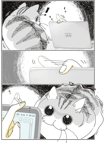 『夜は猫といっしょ8』より