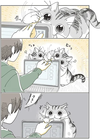 『夜は猫といっしょ8』より