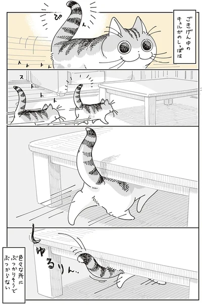 『夜は猫といっしょ8』より