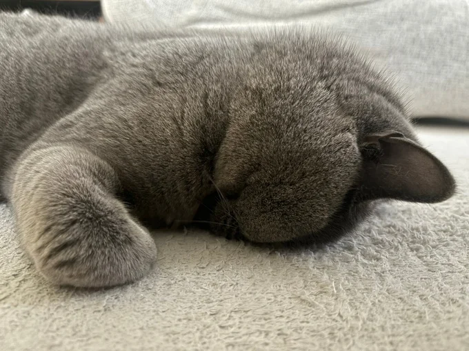 ごめん寝▶仰向けになっても眠れます（⇒次へ）