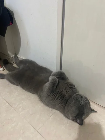 待ち疲れ寝▶色々なところで眠れます（⇒次へ）