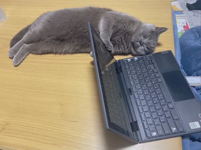 押さえ寝▶とっても無防備な寝姿も（⇒次へ）