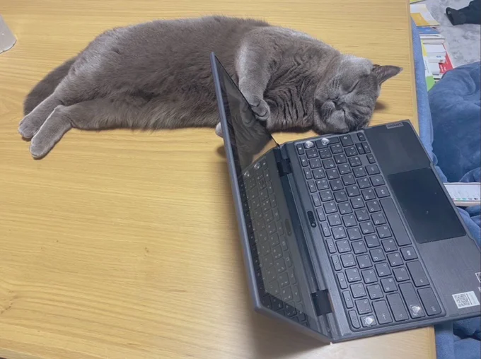 押さえ寝▶とっても無防備な寝姿も（⇒次へ）