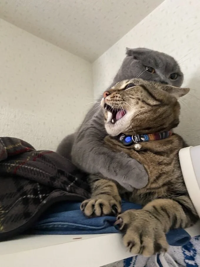 倍返しだ！！！▶本気の表情を見せます（⇒次へ）