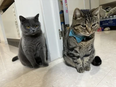 なにかあった…？という距離感▶ケンカしておもしろいお顔になっちゃった（⇒次へ）