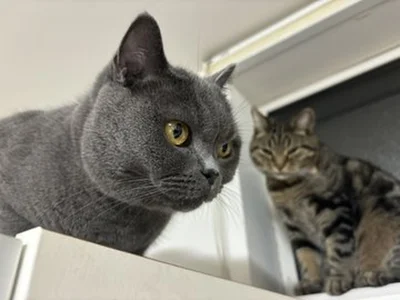 さすがにちょっと怒ってる？ランちゃんでした▶両者見つめ合って…（⇒次へ）