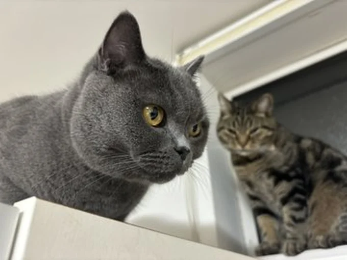 さすがにちょっと怒ってる？ランちゃんでした▶両者見つめ合って…（⇒次へ）