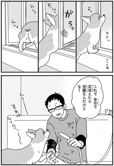 完璧なんだけどなー