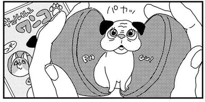 飼い主の意地にかけて止められない！カプセルトイにムキになってしまうわけ