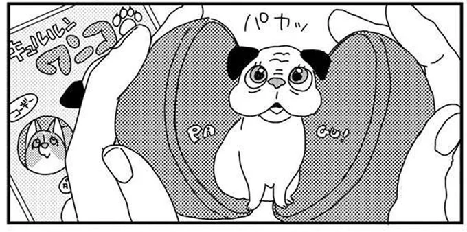 飼い主の意地にかけて止められない!カプセルトイにムキになってしまうわけ