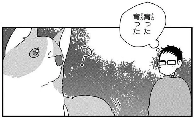 立派に育ったな!飼い主が夏から冬にかけて密かに楽しみにしていること