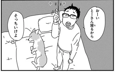 布団を返して！寝床を占領するワンコに解せぬ飼い主