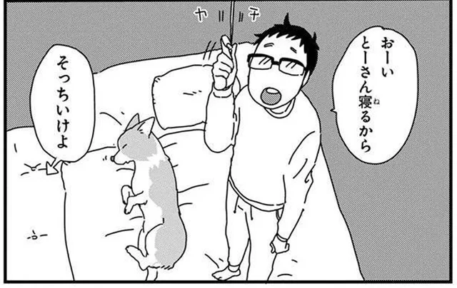 布団を返して！寝床を占領するワンコに不満が残る飼い主