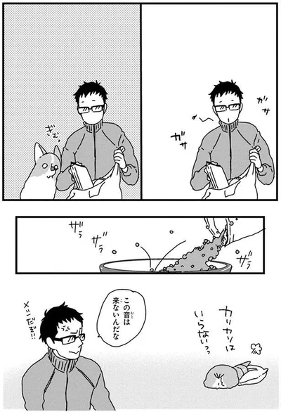 この音は来ないんだな