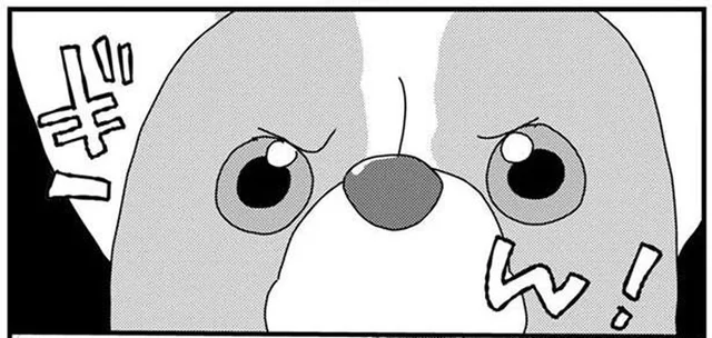 鋭い目つきでおやつを狙う愛犬に、飼い主が冷静にツッコミ！