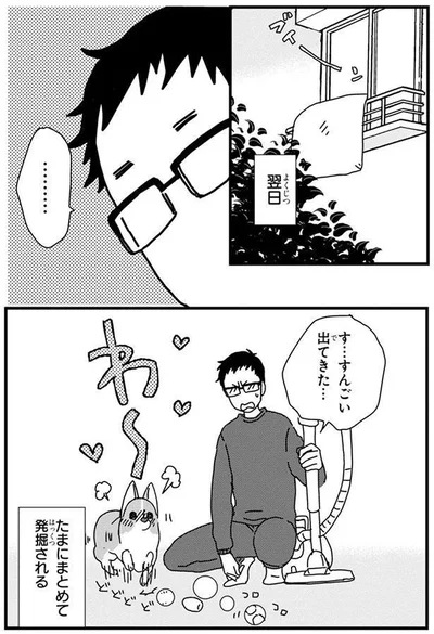 たまにまとめて発掘される