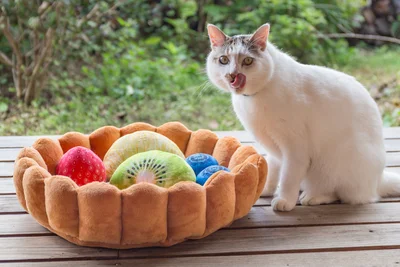 【写真を見る】スイーツ＆猫の最強コラボクッション！