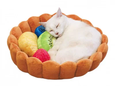 SNS映え必至の｢猫タルト｣姿が撮り放題！