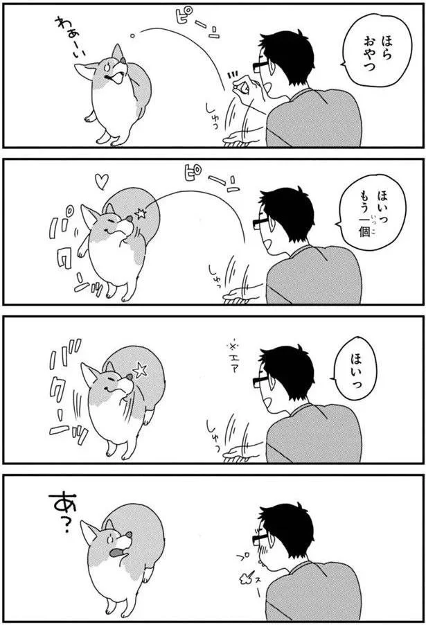 『あしょんでよッ〜うちの犬ログ〜5』より