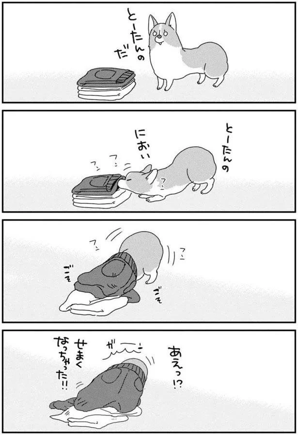 『あしょんでよッ〜うちの犬ログ〜5』より