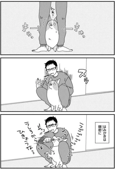 『あしょんでよッ〜うちの犬ログ〜5』より