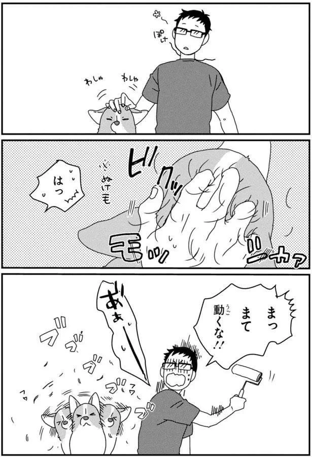 『あしょんでよッ〜うちの犬ログ〜5』より