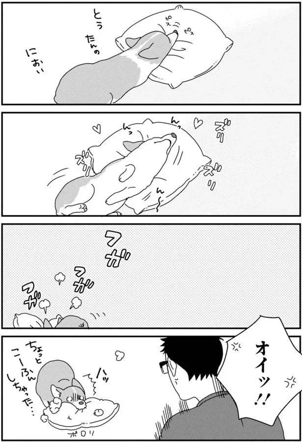 『あしょんでよッ〜うちの犬ログ〜5』より