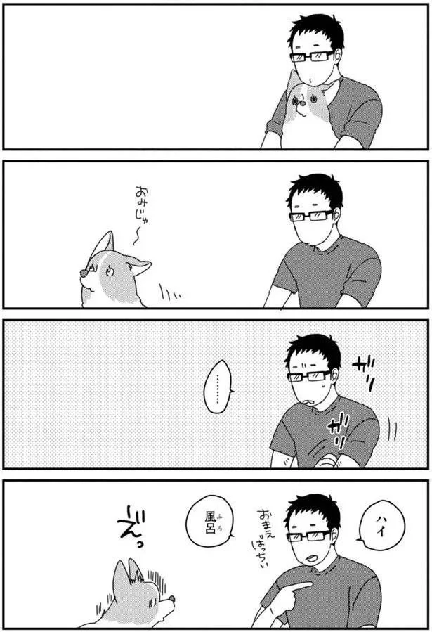 『あしょんでよッ〜うちの犬ログ〜5』より