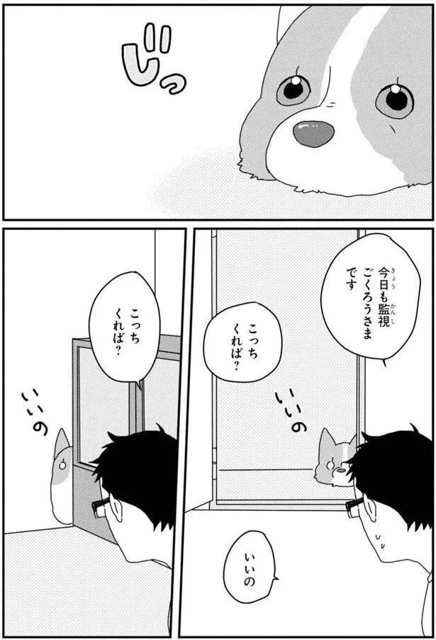 『あしょんでよッ〜うちの犬ログ〜5』より