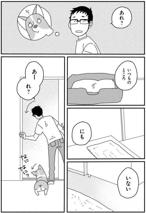 『あしょんでよッ〜うちの犬ログ〜5』より