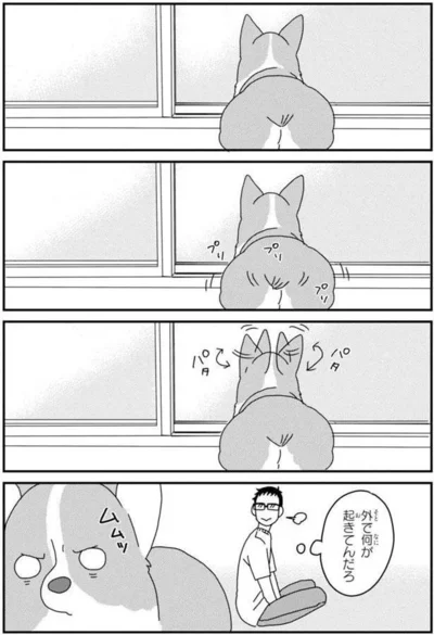 『あしょんでよッ〜うちの犬ログ〜5』より